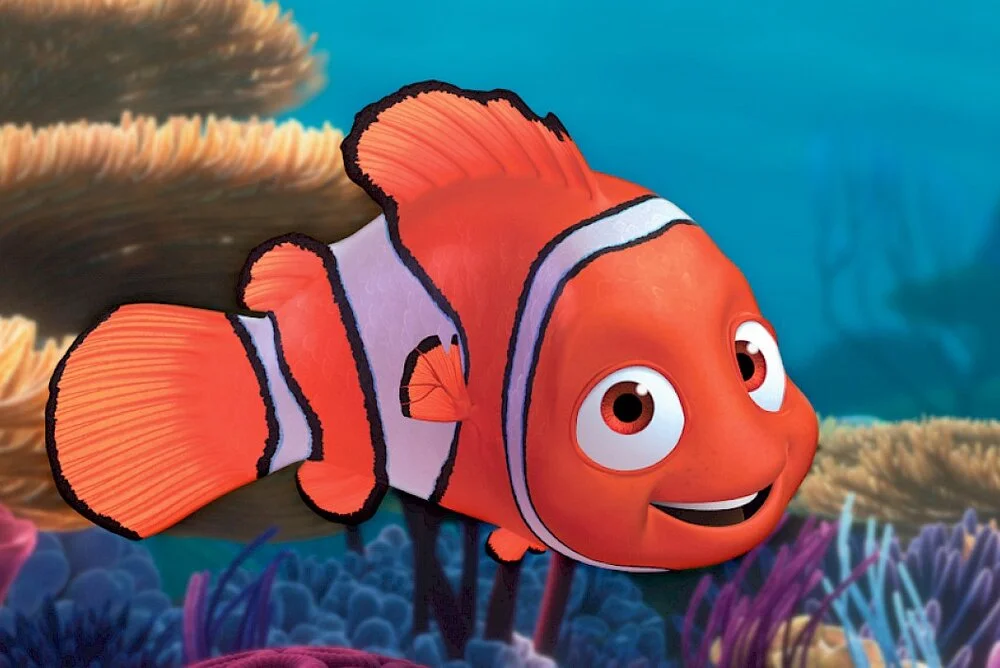 nemo.1059x707.jpg